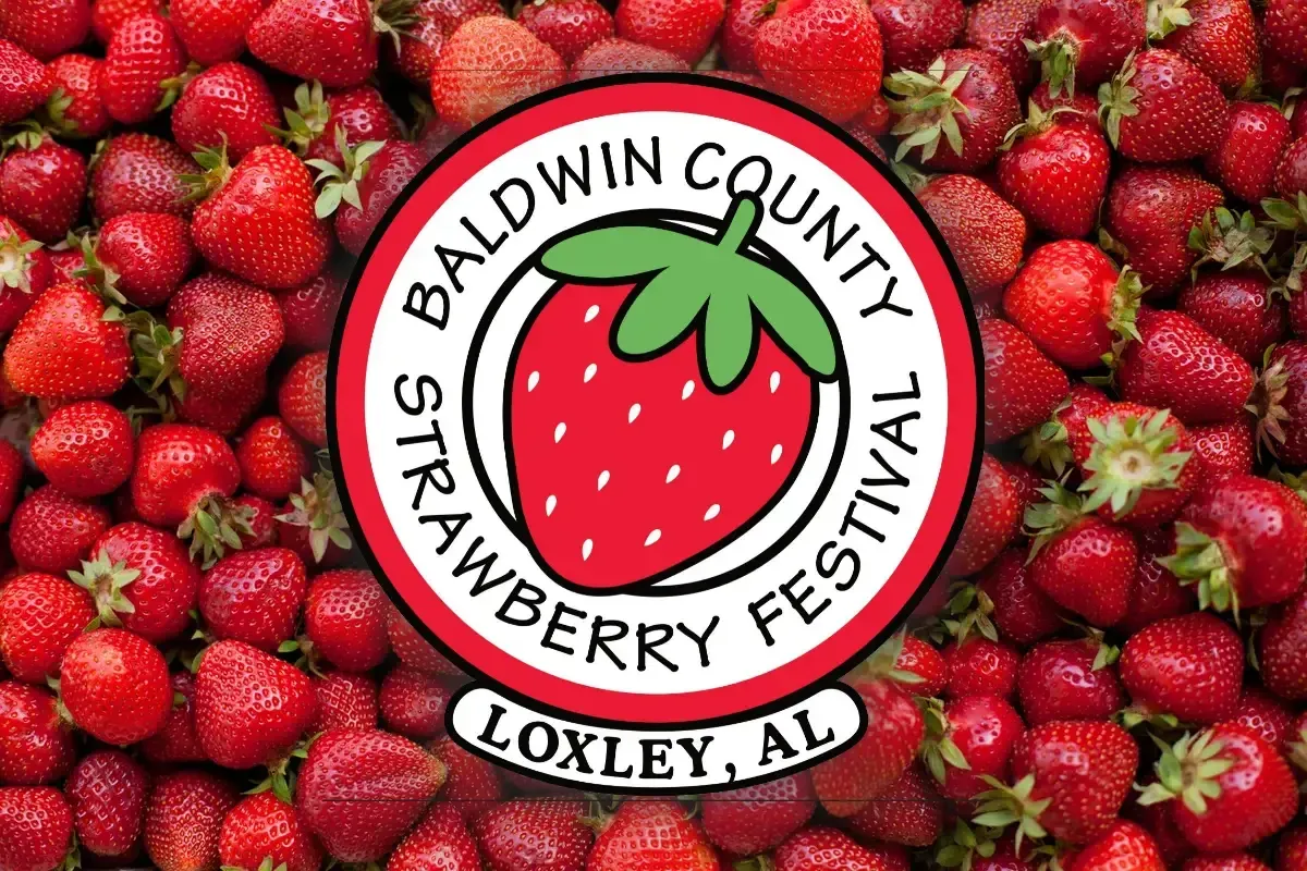 Strawberry Festival Baldwin Loxley Strawberry Festival Baldwin Loxley