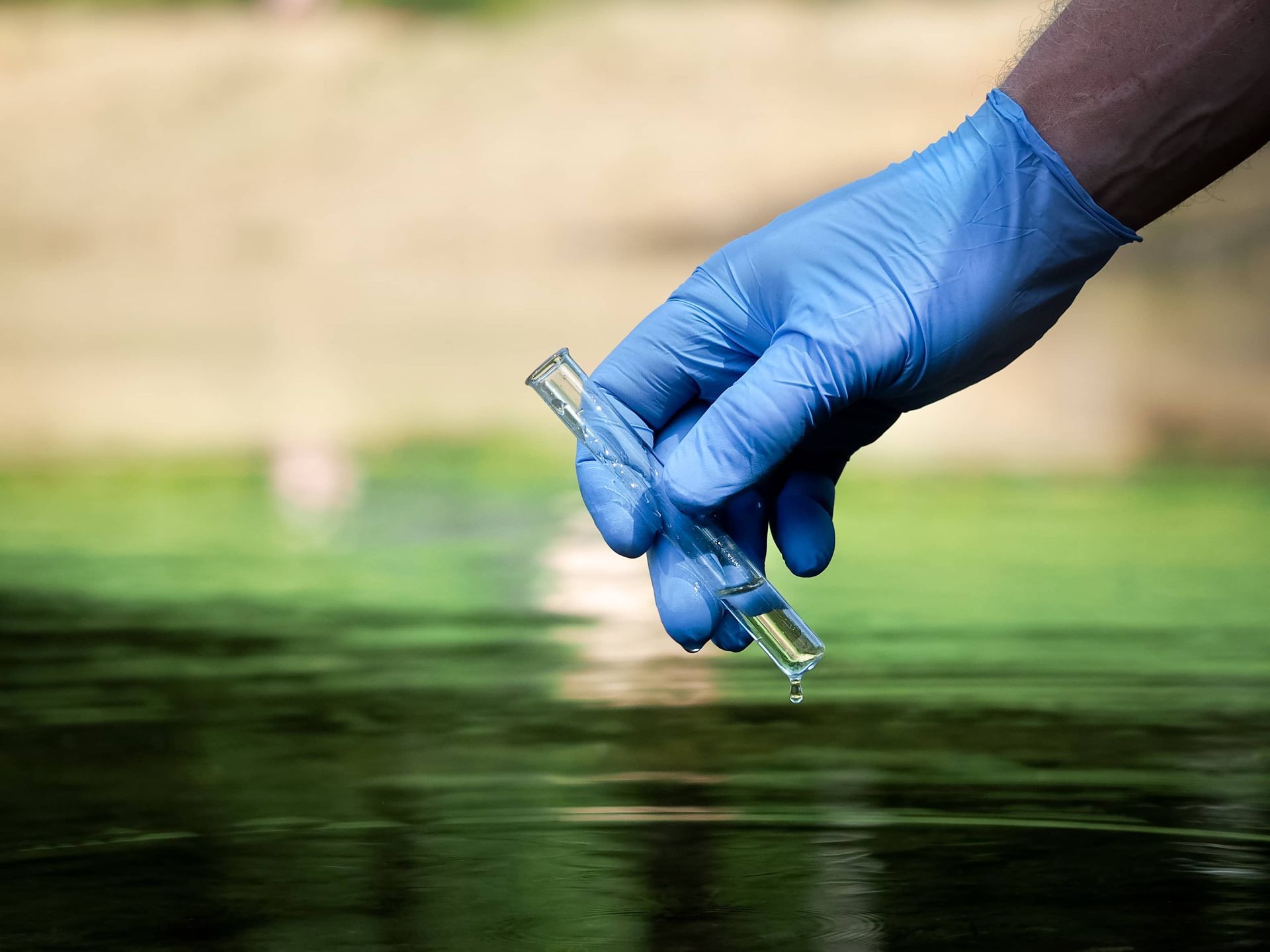 Gulf Shores Water Monitoring News