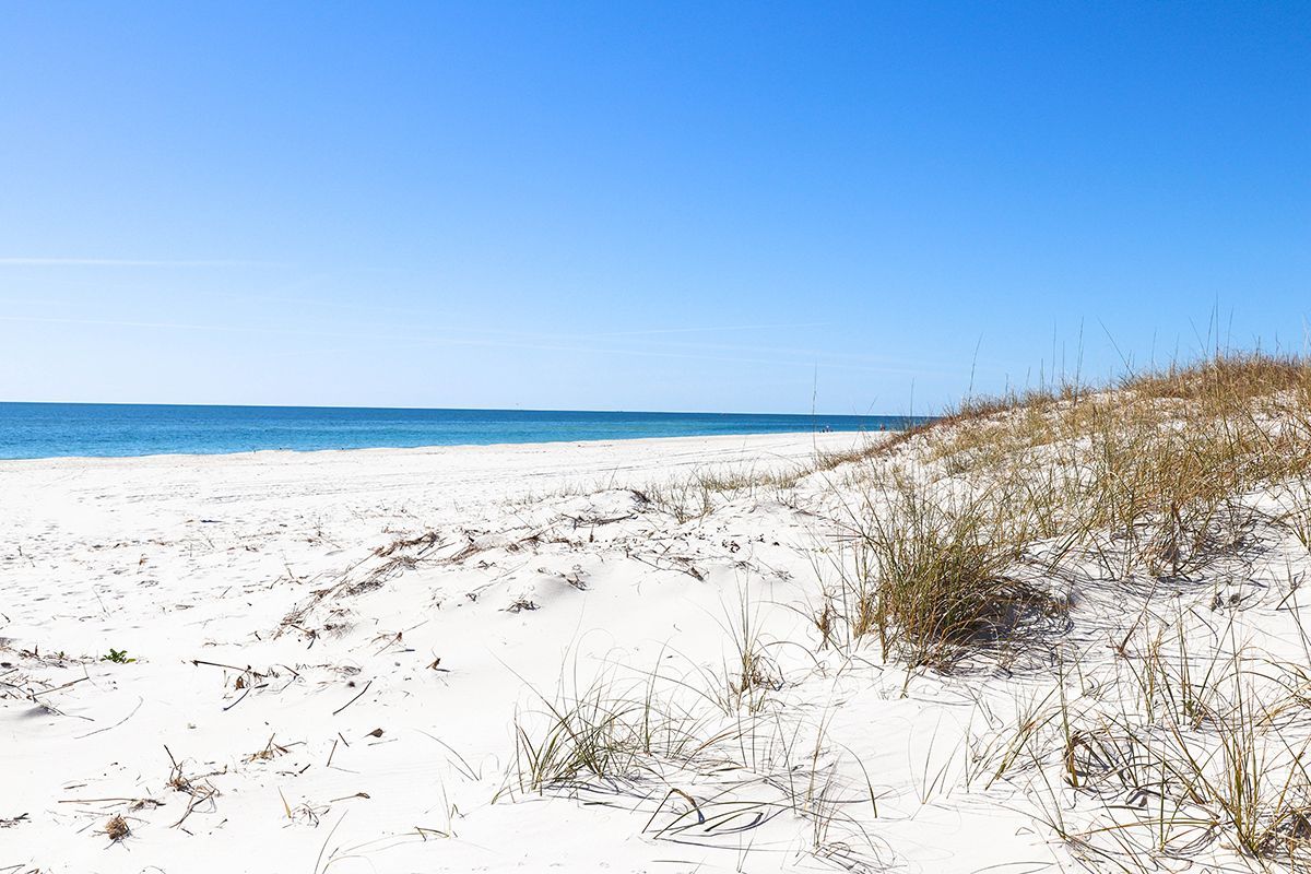 Gulf Shores White Beaches