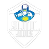 LOGO Solution soudure