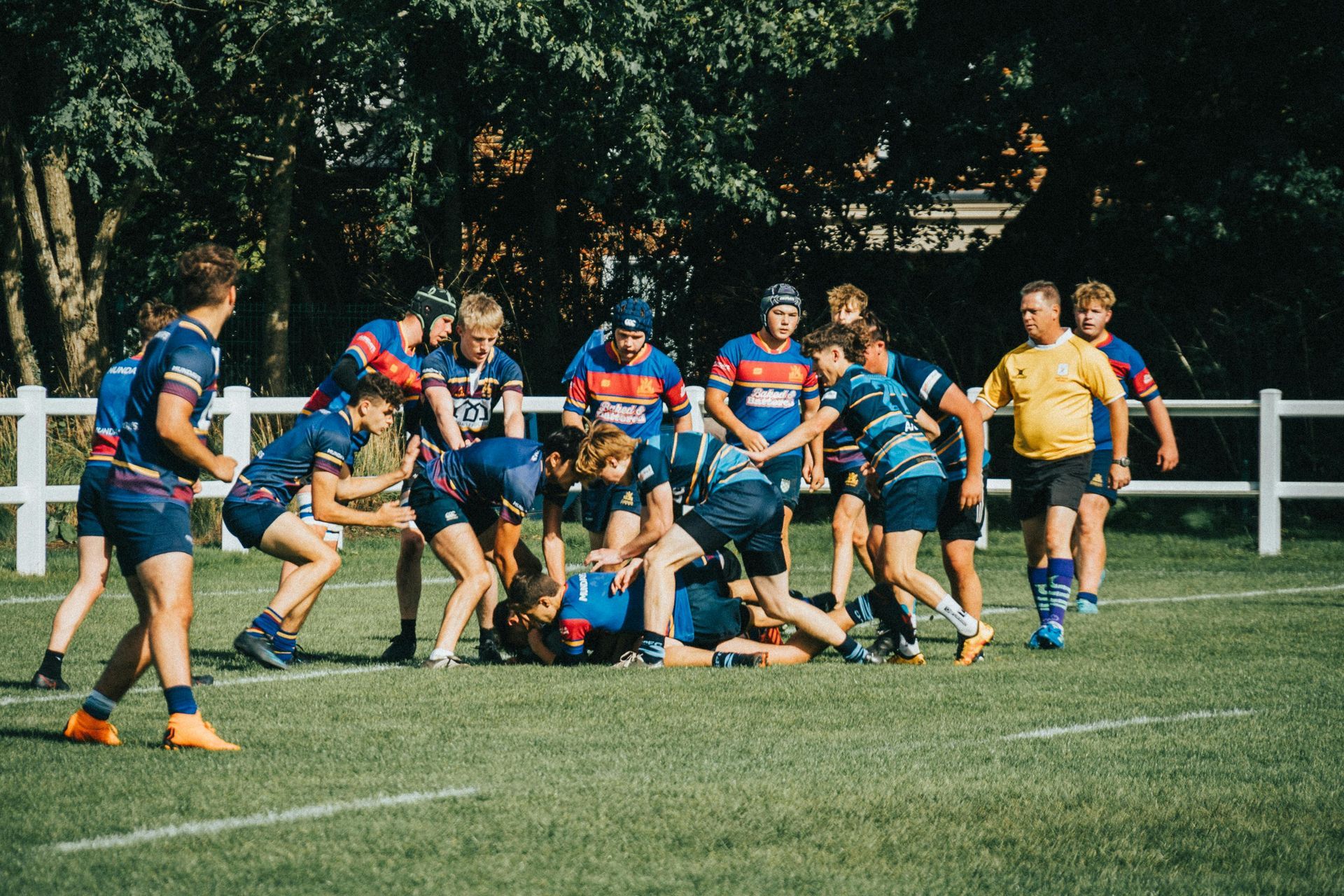 Rugby players in blue and red jerseys engage in a tackle on a green field, with a referee nearby.