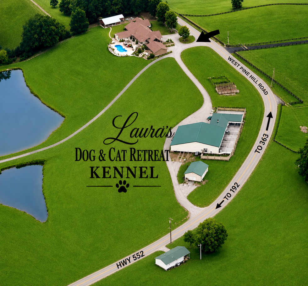 laura-s-dog-retreat-homes