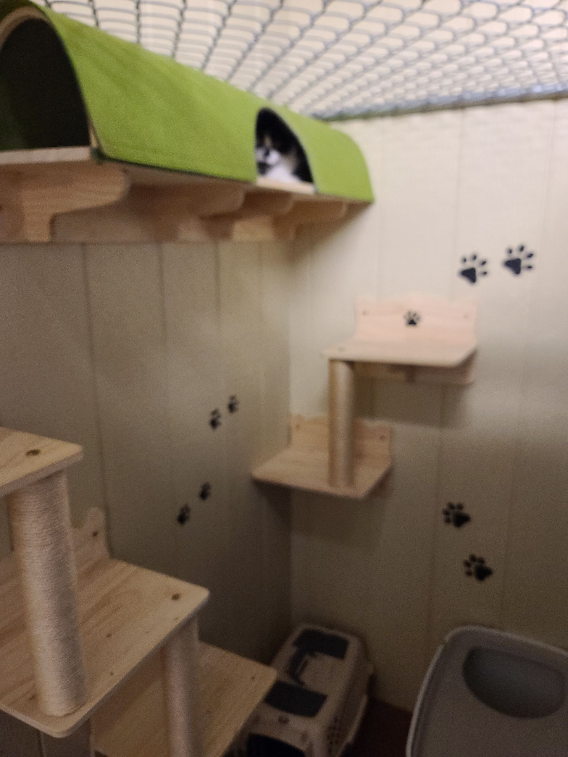laura-s-pet-care-home-center.