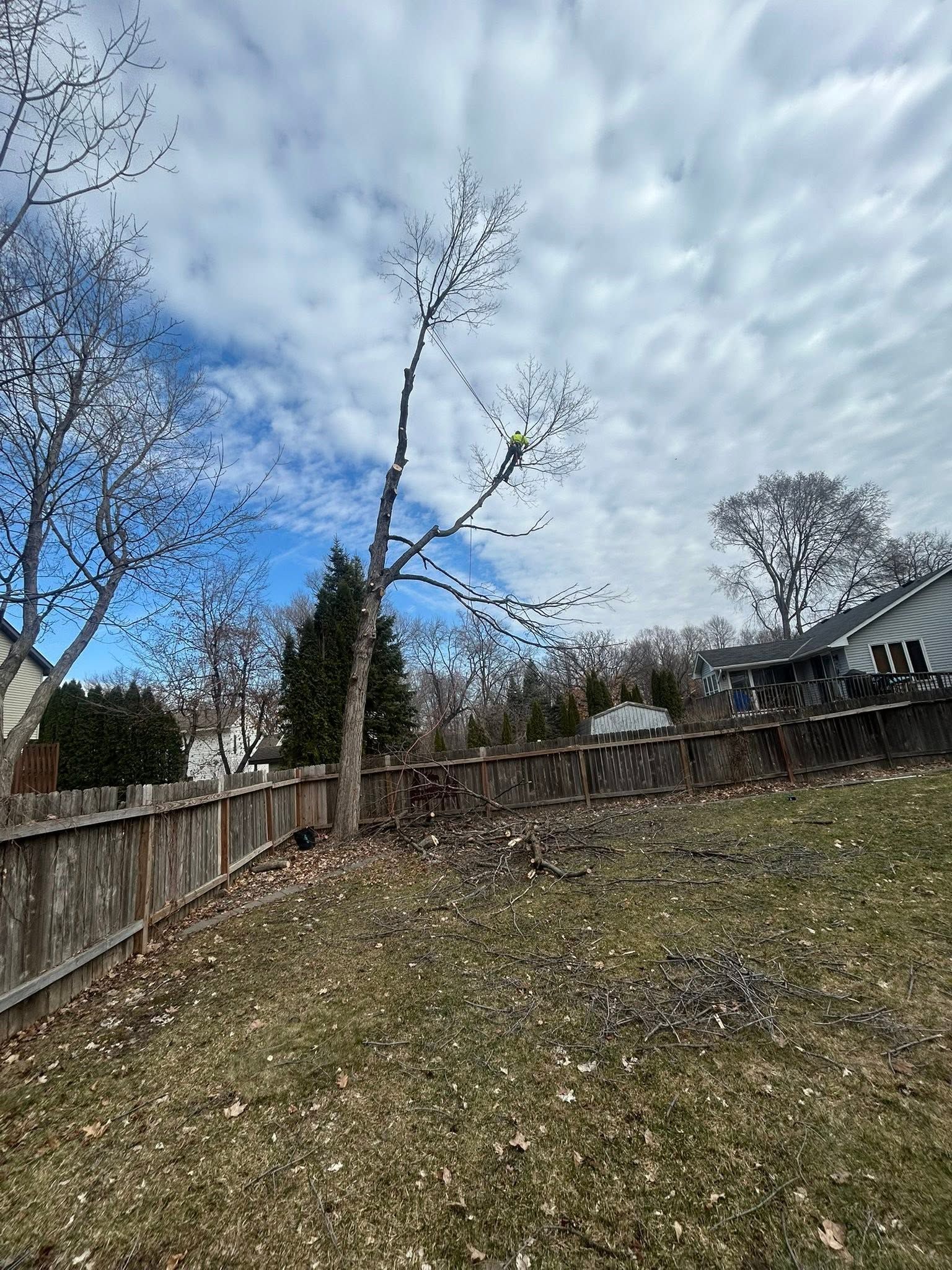 Backyard with leafless trees, wooden fence, and cloudy sky on a grassy slope