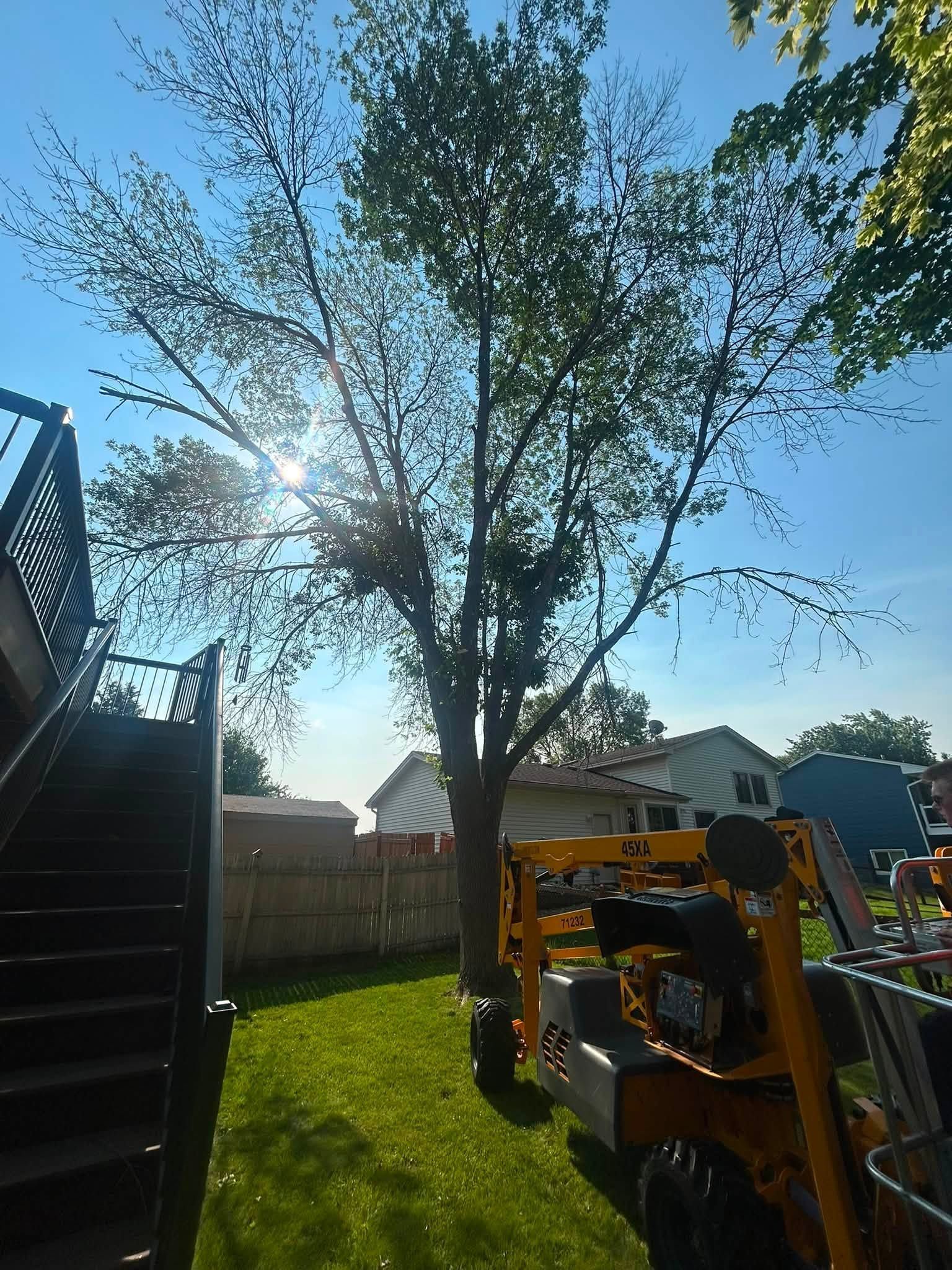 Sunlit backyard with a tall tree, stairs on the left, and a yellow utility machine in the foreground.