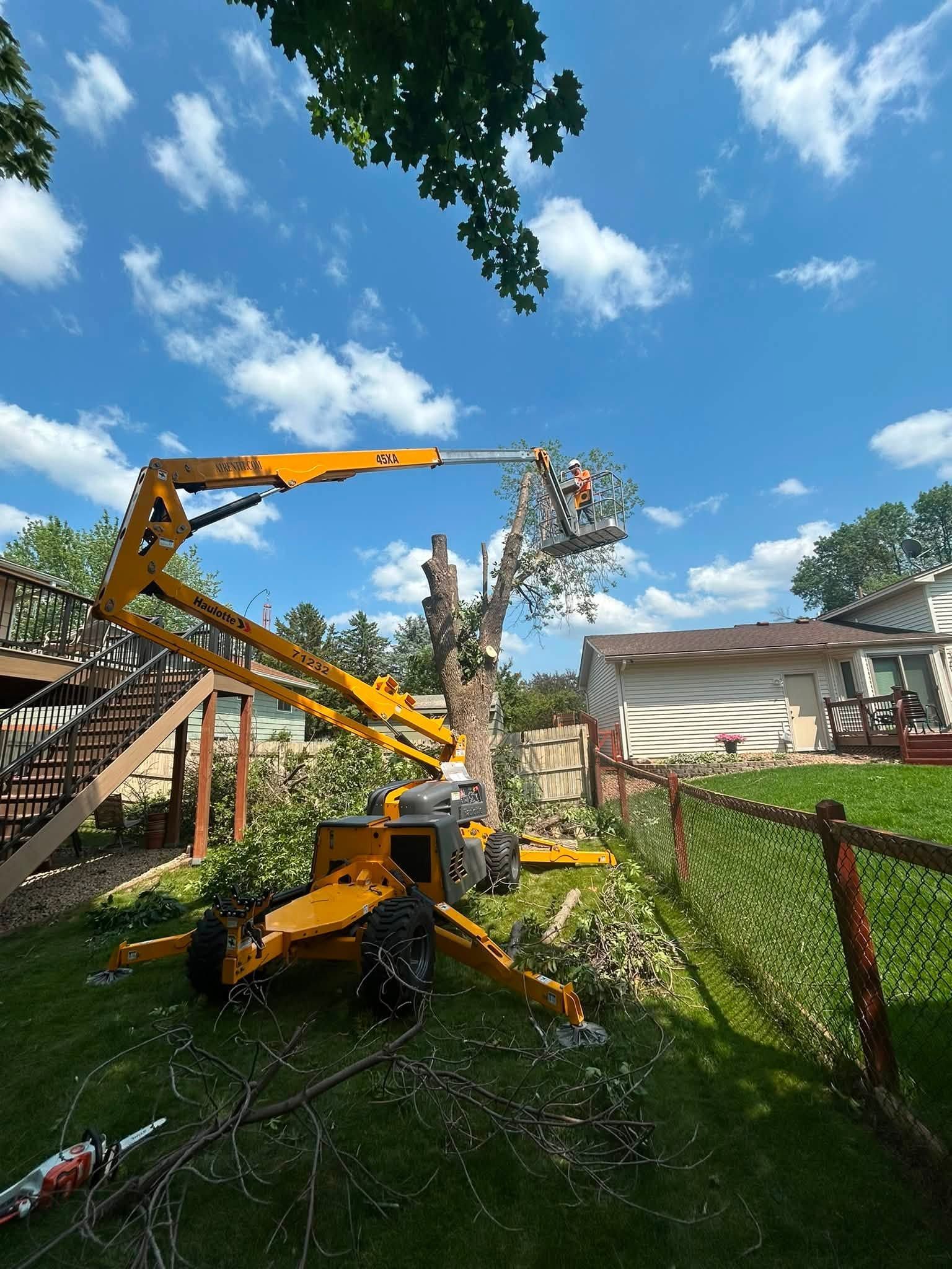 Tree service crew using a cherry picker to trim a tall tree in a backyard on a sunny day