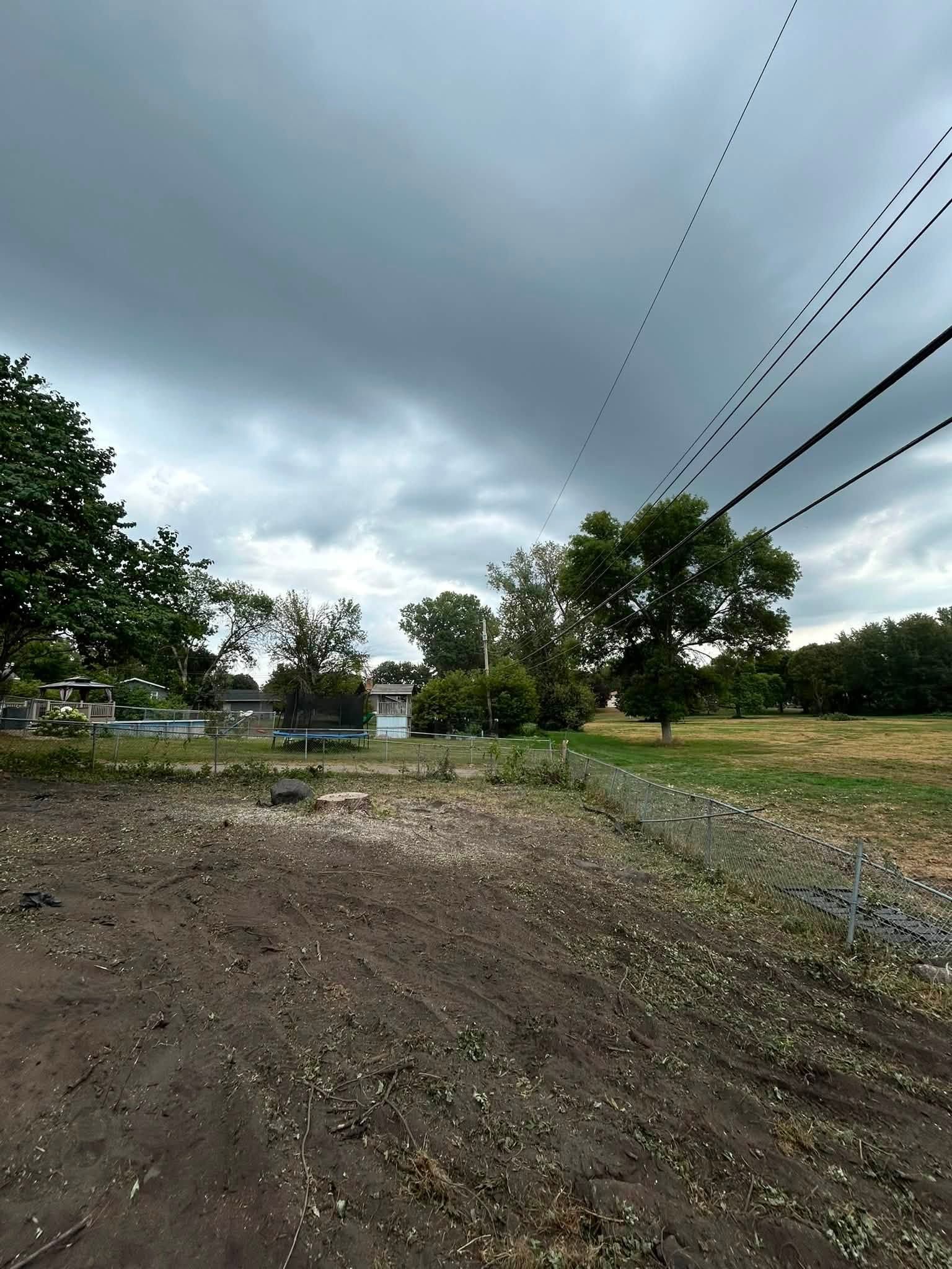 Overcast rural field with muddy ground, trees, and power lines overhead