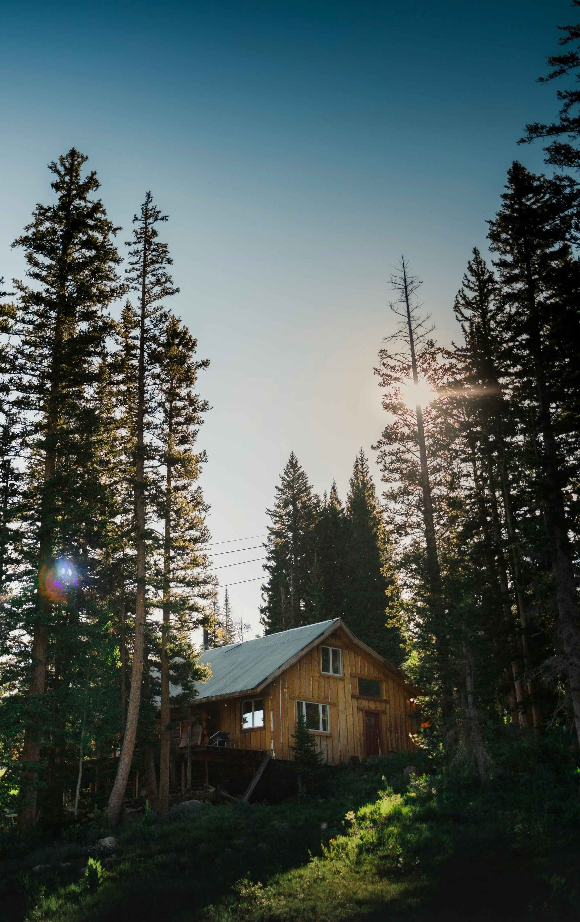 Wooden cabin in a pine forest at sunrise, with tall trees and sun flare behind it