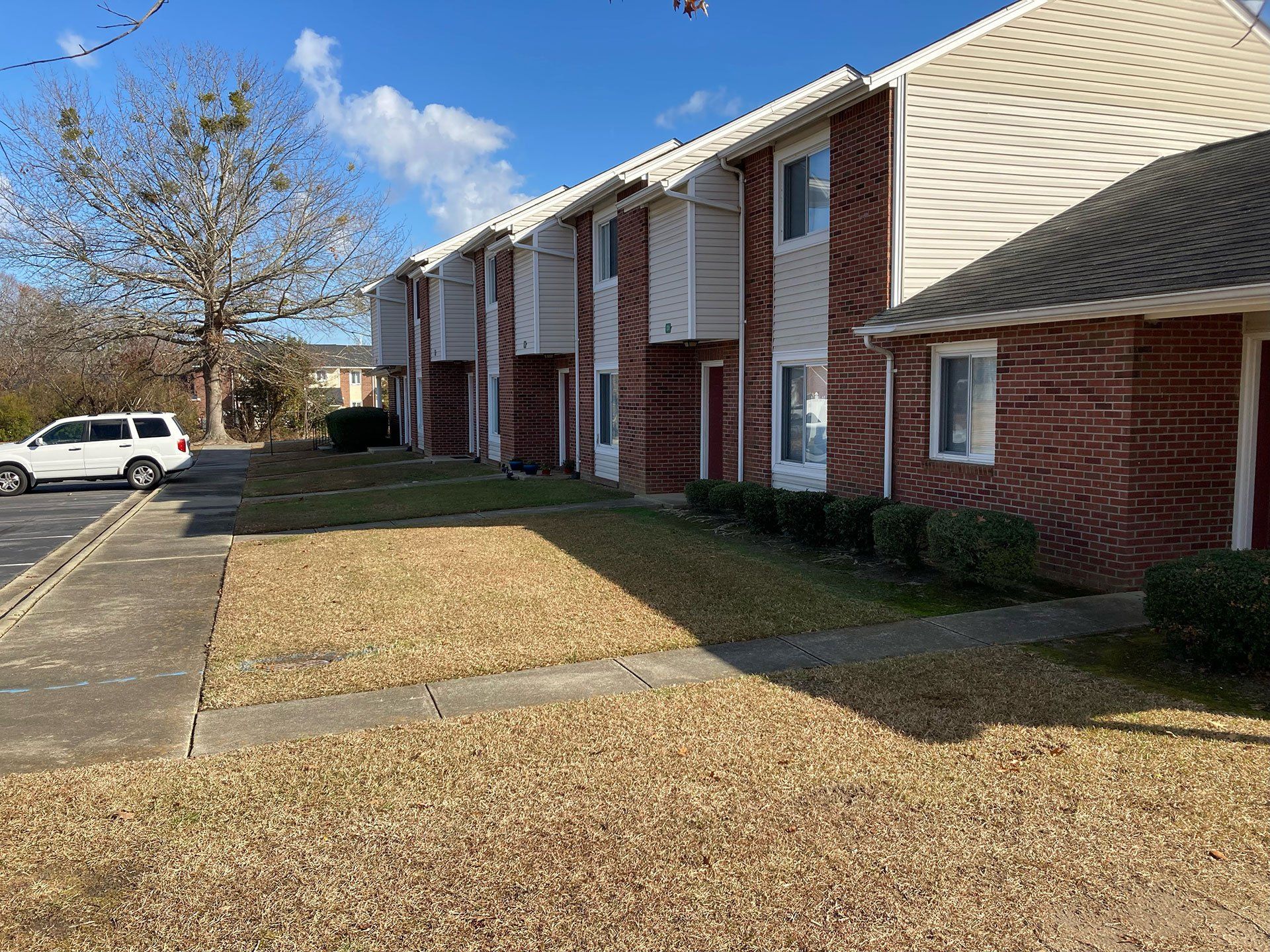 Carolina Pines 3