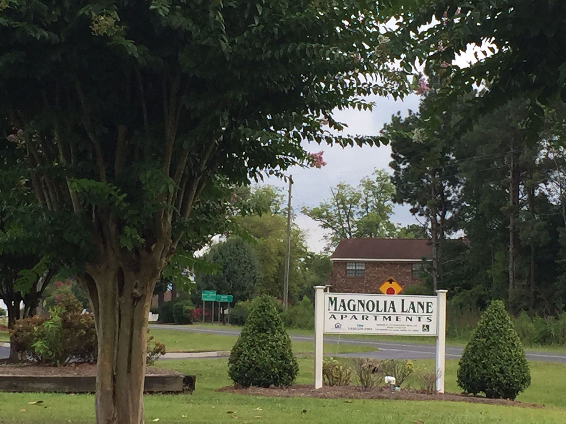 Magnolia Lane 2