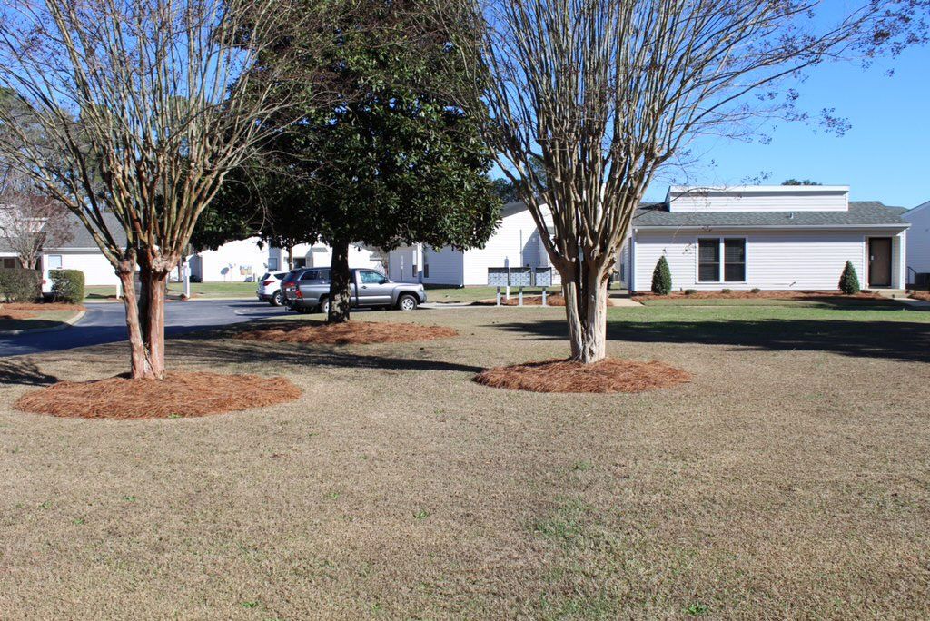 Magnolia Lane 4