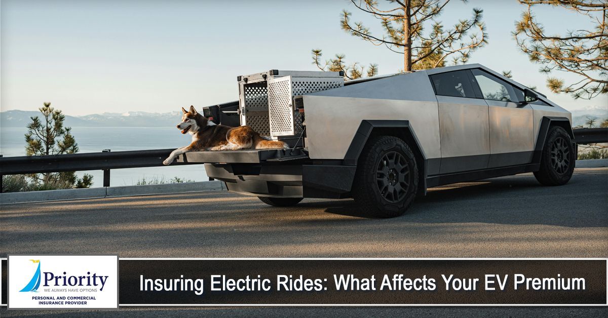 Tesla Cybertruck with dog in a carrier on a road. Ocean and trees in the background. 