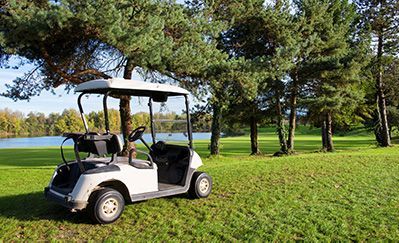White golf cart parked on a grassy golf course near trees and a lake.