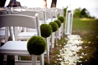 Wedding chairs lined up outdoors, decorated with green spheres, with a path of white petals.