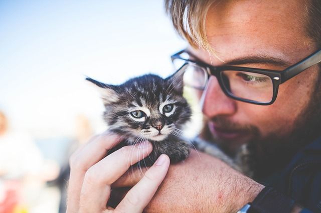Man with glasses holding a small black-and-white kitten close to his face