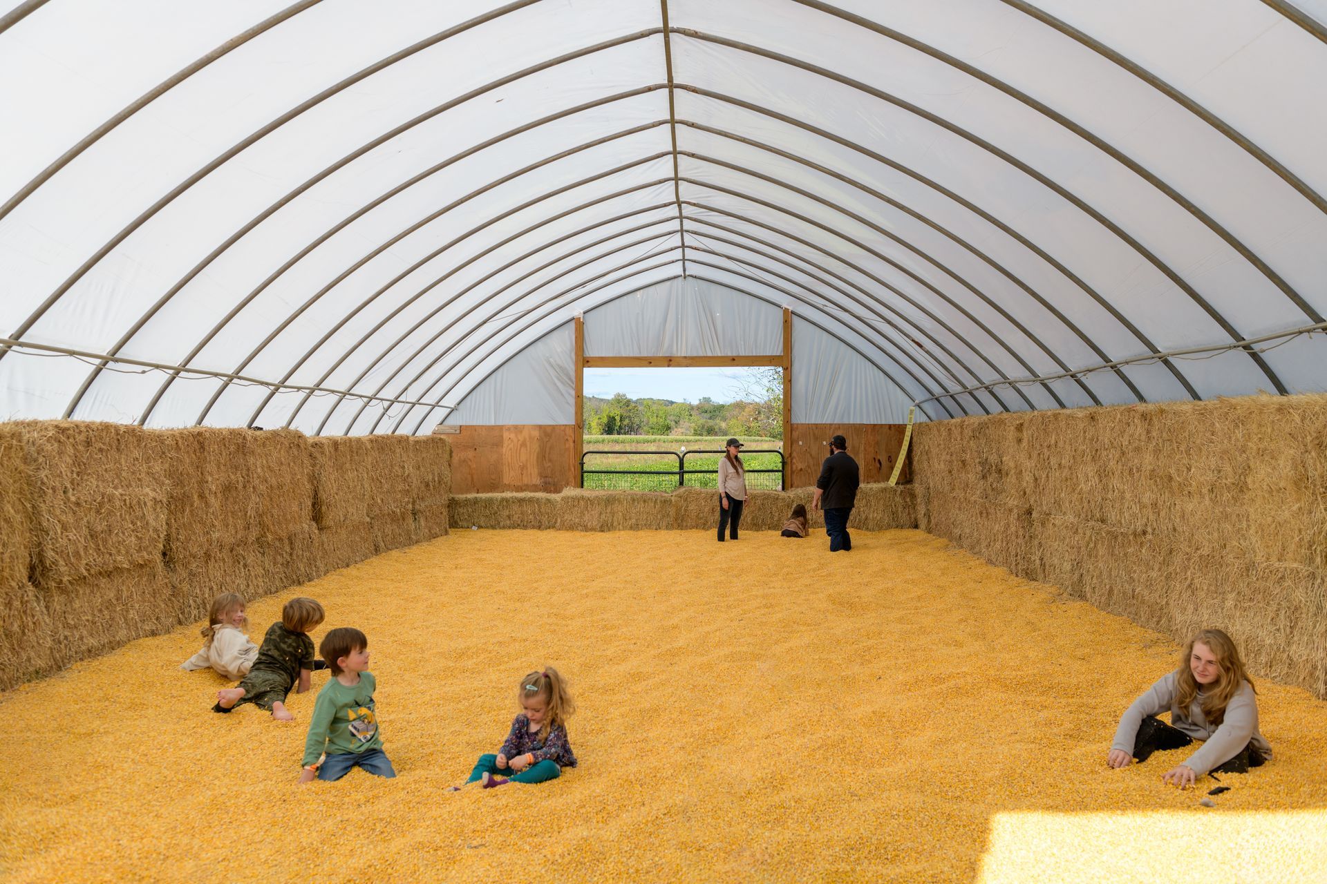 Children playing in a large indoor barn filled with corn kernels