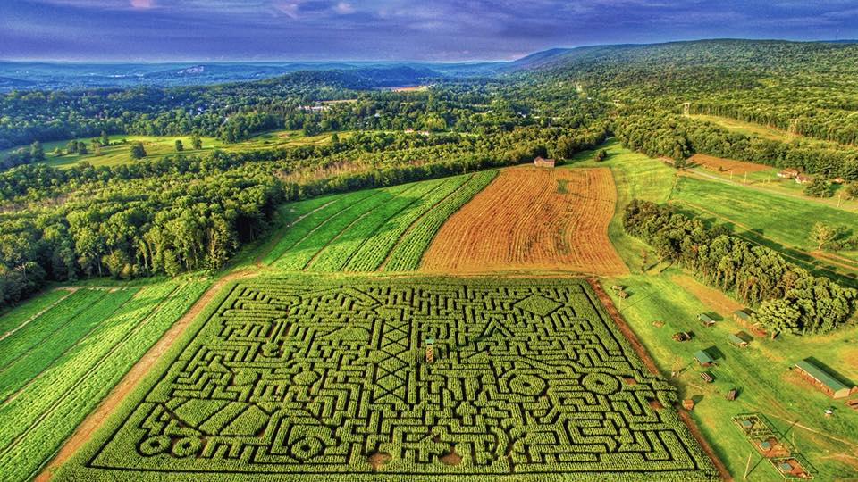 Mazezilla, Lehigh Valley corn maze