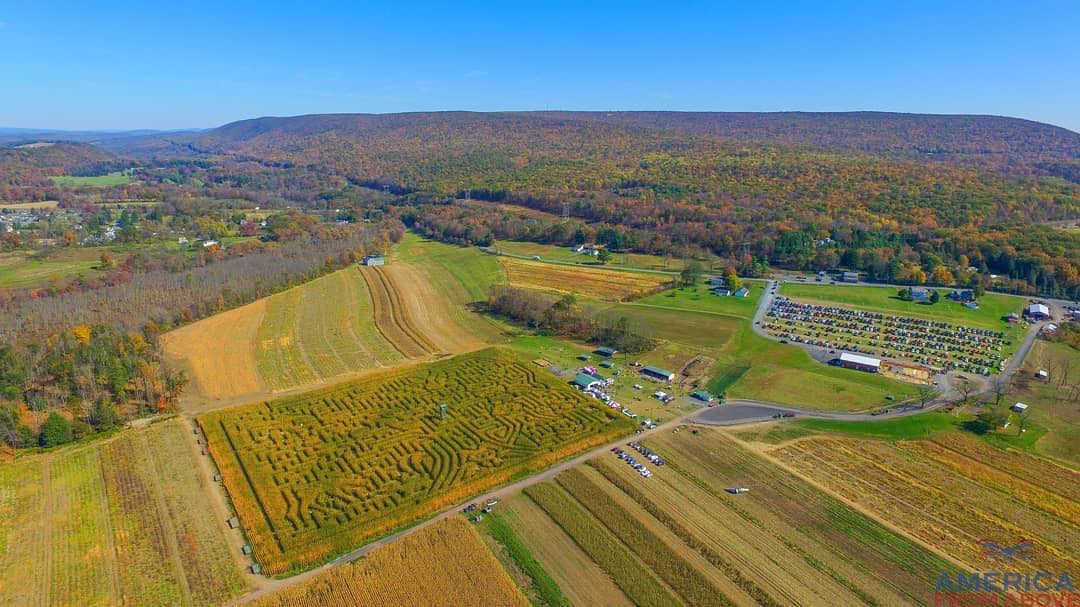 Mazezilla, overview of the farm