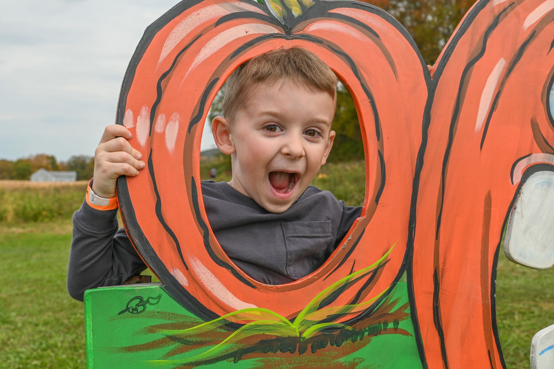 Young boy with an excited expression looking through a pumpkin-shaped cutout. Outdoors, fields in the background.