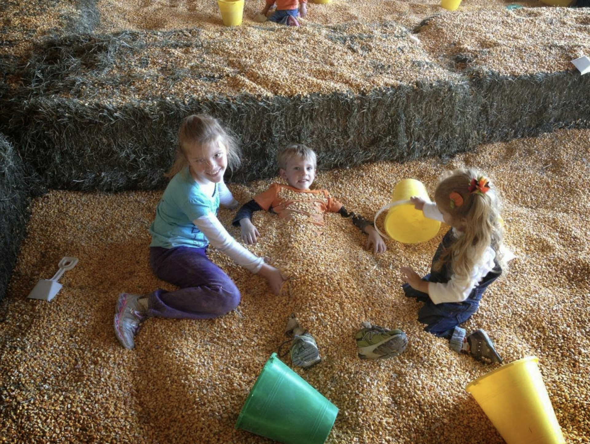 Mazezilla, corn pit, Lehigh Valley