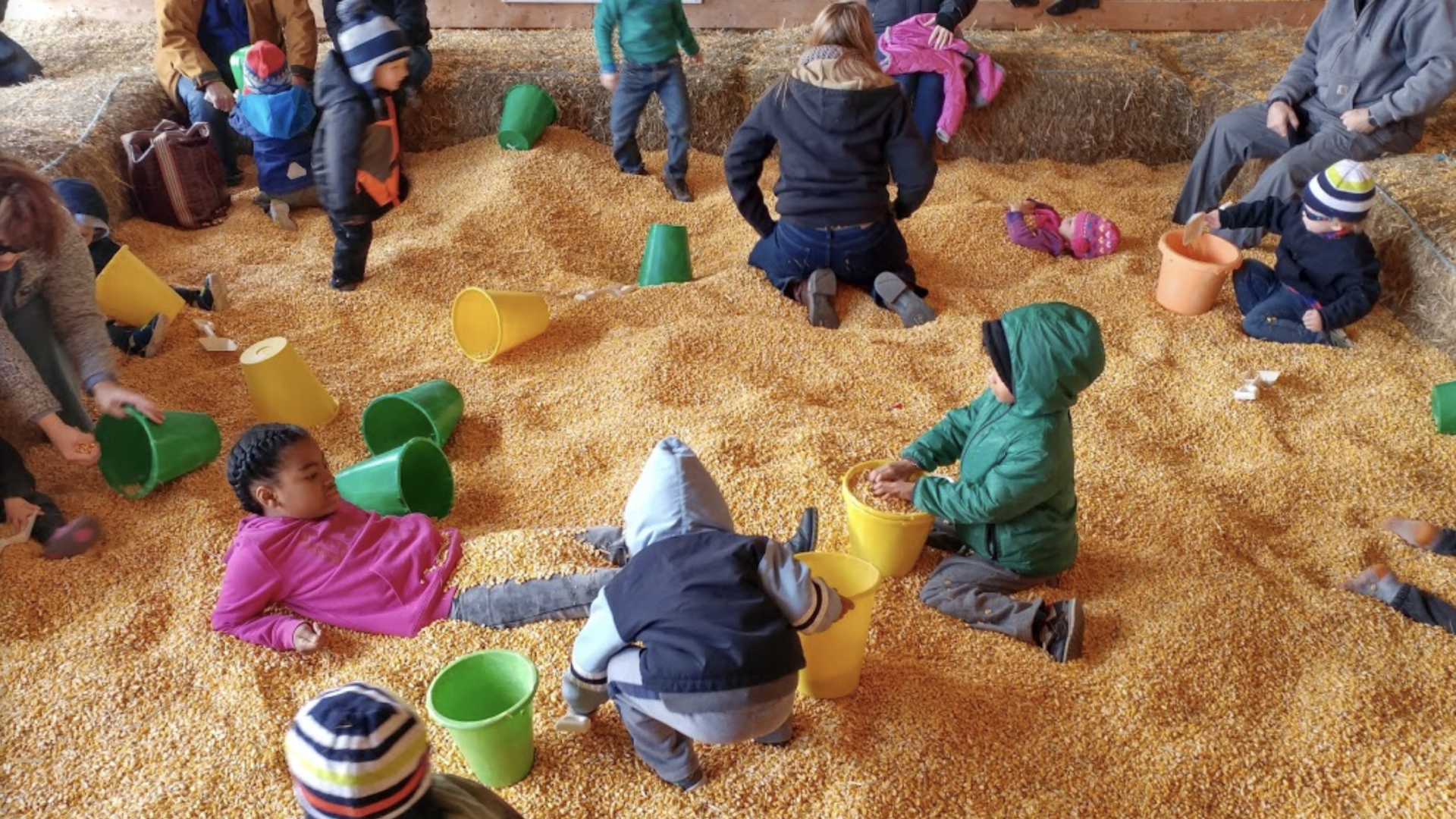 Mazezilla, corn pit