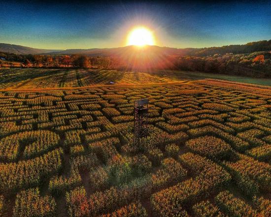 Mazezilla, overview of the maze with sunset