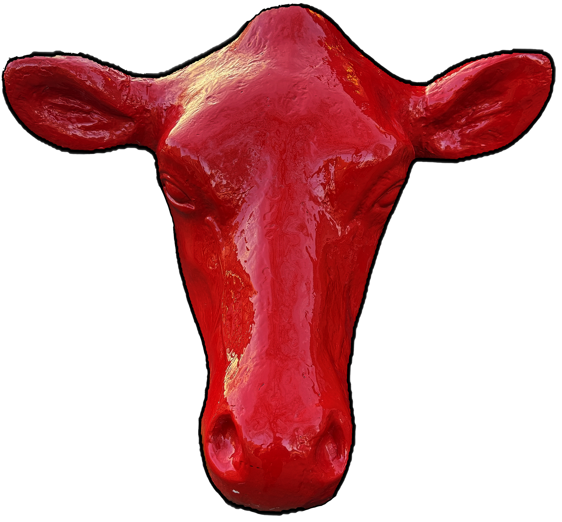 Een close-up van een rode koeienkop op een witte achtergrond