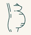 Outline of a pregnant person.