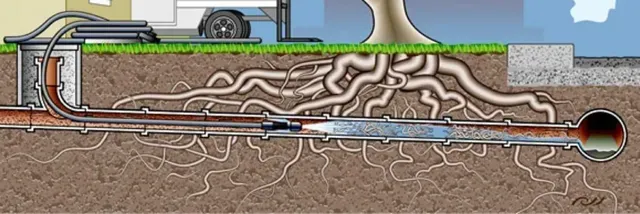 How to Protect Your Waterline From Tree Root Invasion?