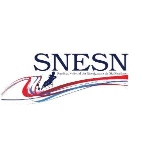 logo partenaire SNESN-IPSAN