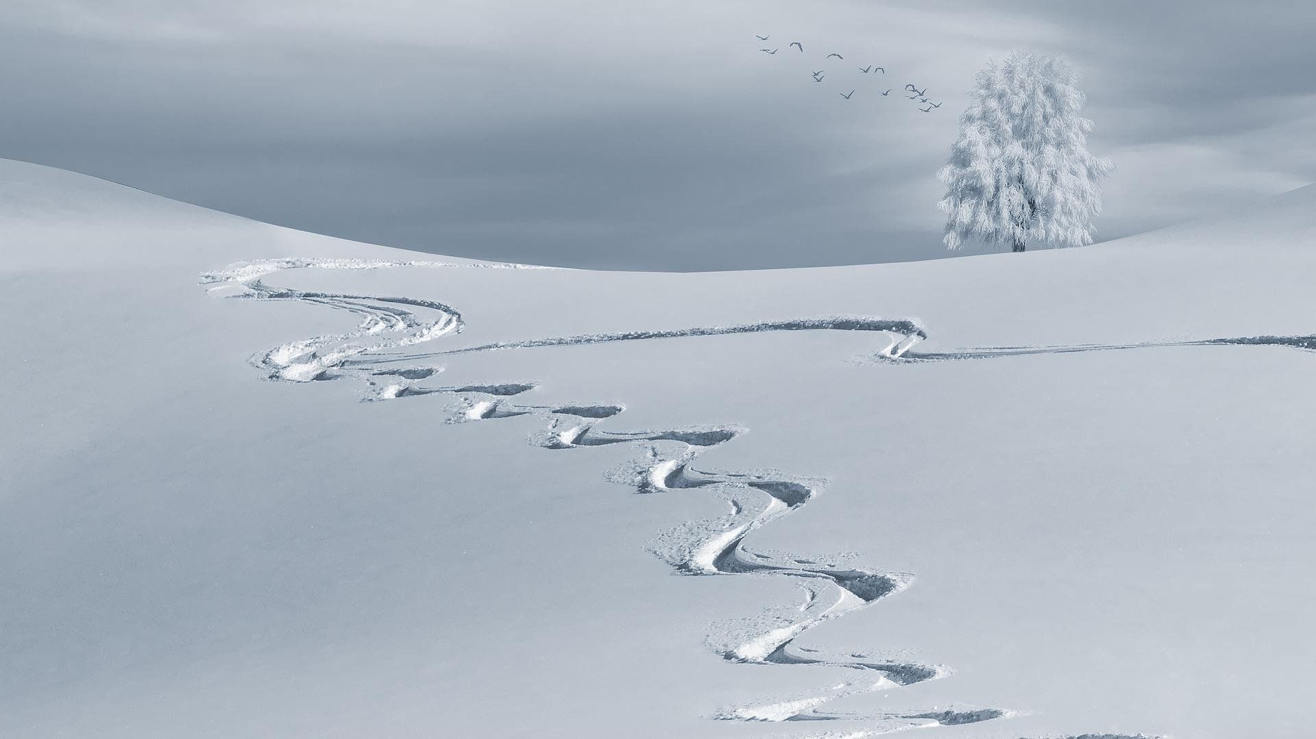Formation-IPSAN-Skier Autrement