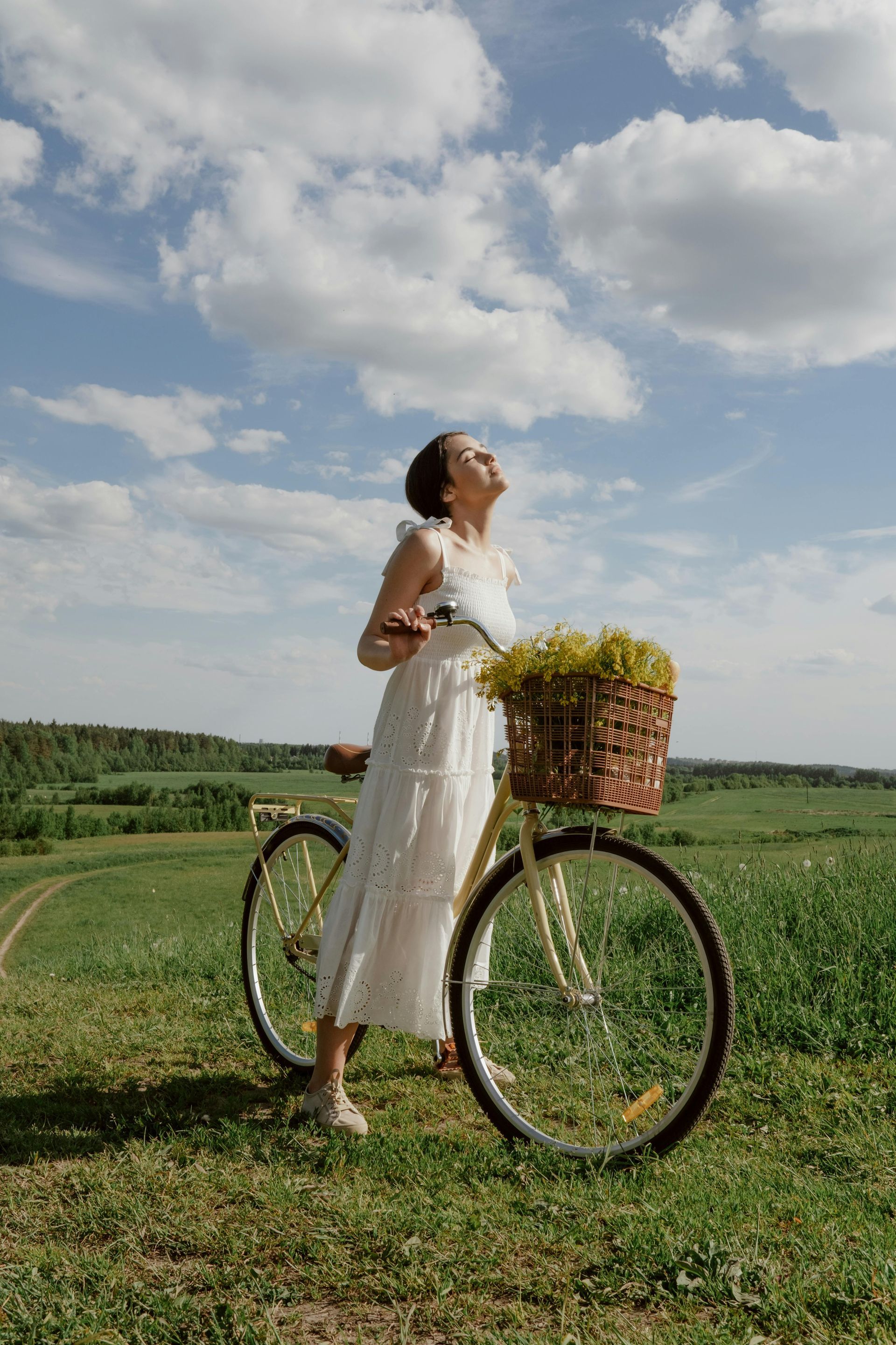 Adulto Bicicleta