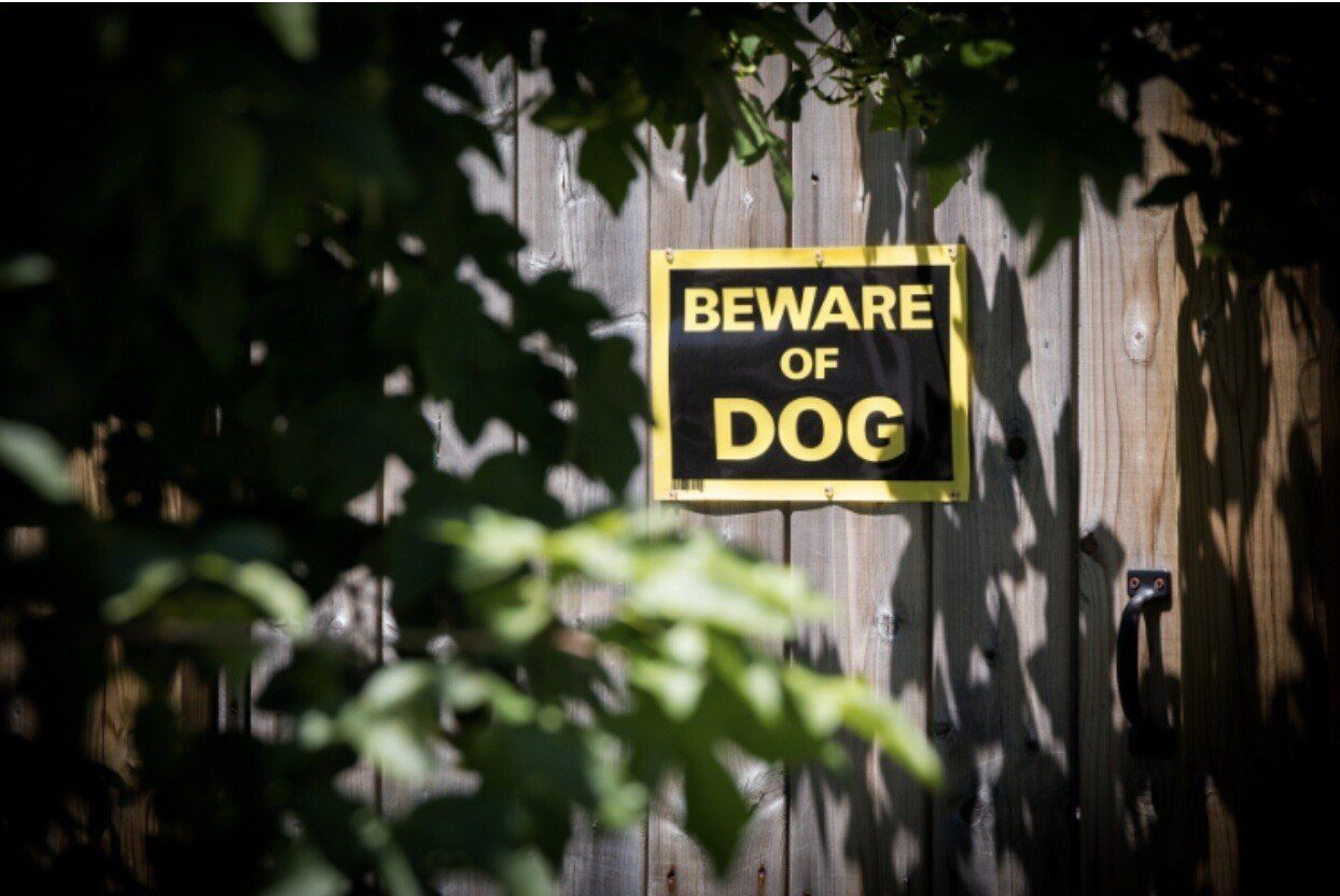 A clear BEWARE OF DOG warning sign attached to a wooden gate, suggesting the presence of a dog on the property.