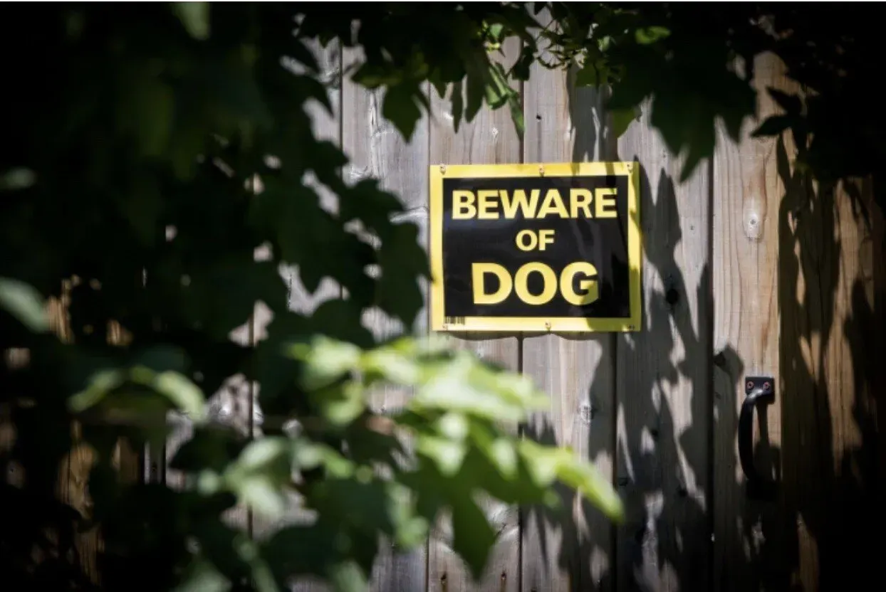 A clear BEWARE OF DOG warning sign attached to a wooden gate, suggesting the presence of a dog on the property.