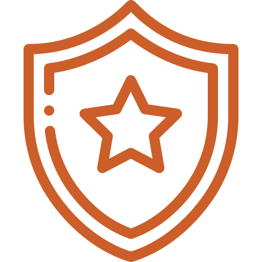 Brown shield with a star inside, indicating protection or security.