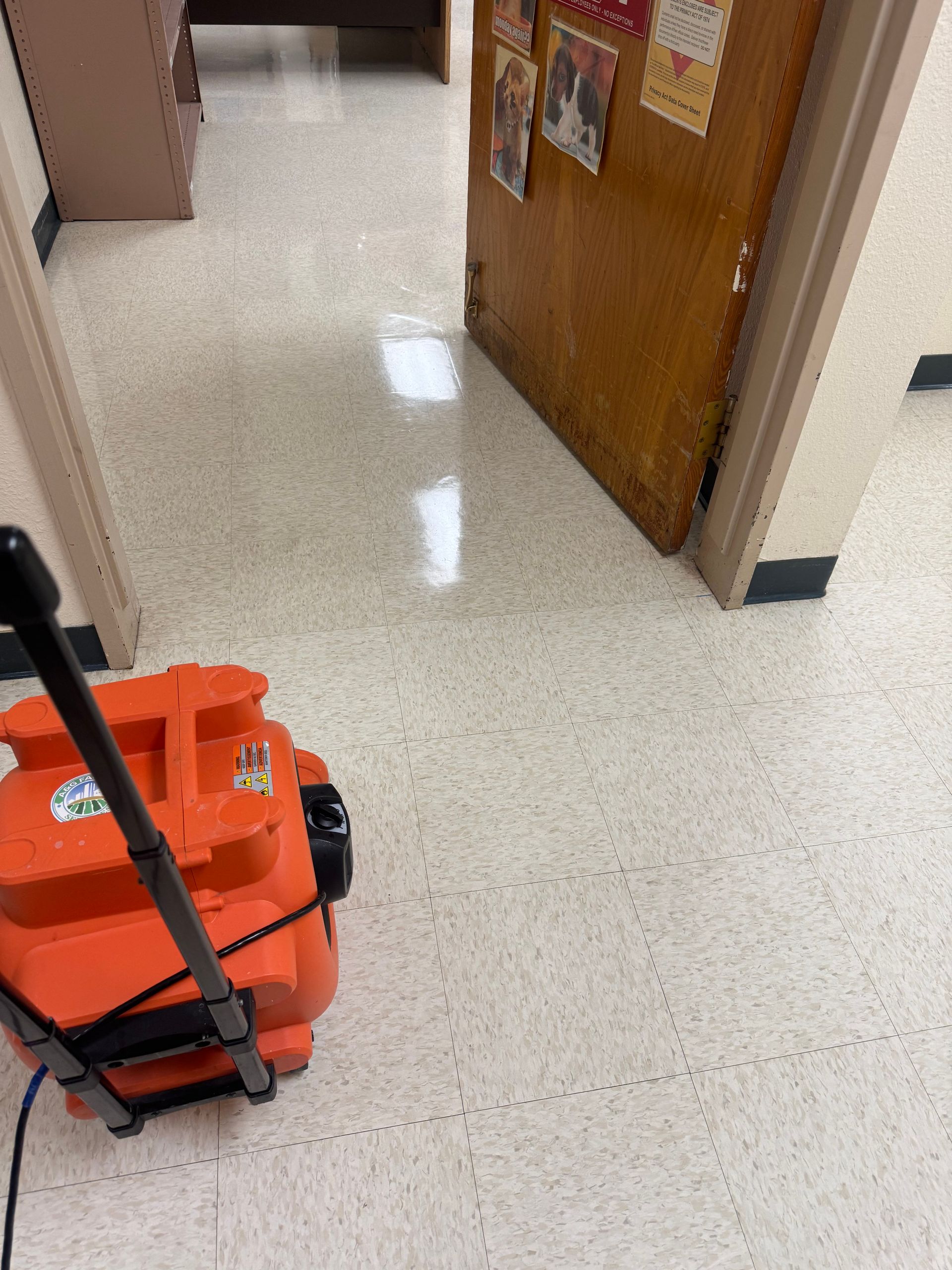 Floor Care Maintenance