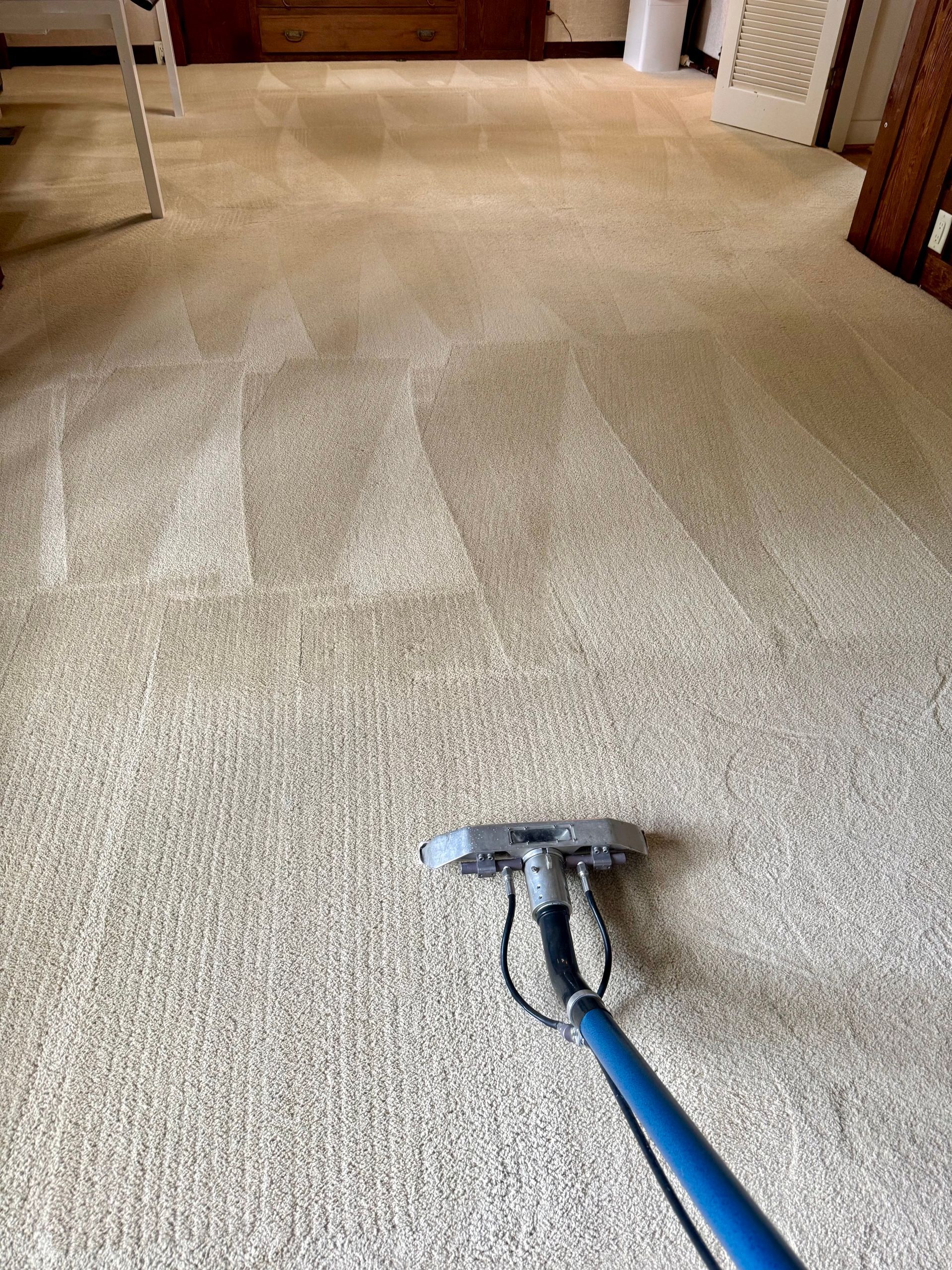 A carpet cleaning wand on light-colored carpet, showing clean paths made during a professional rug cleaning process.