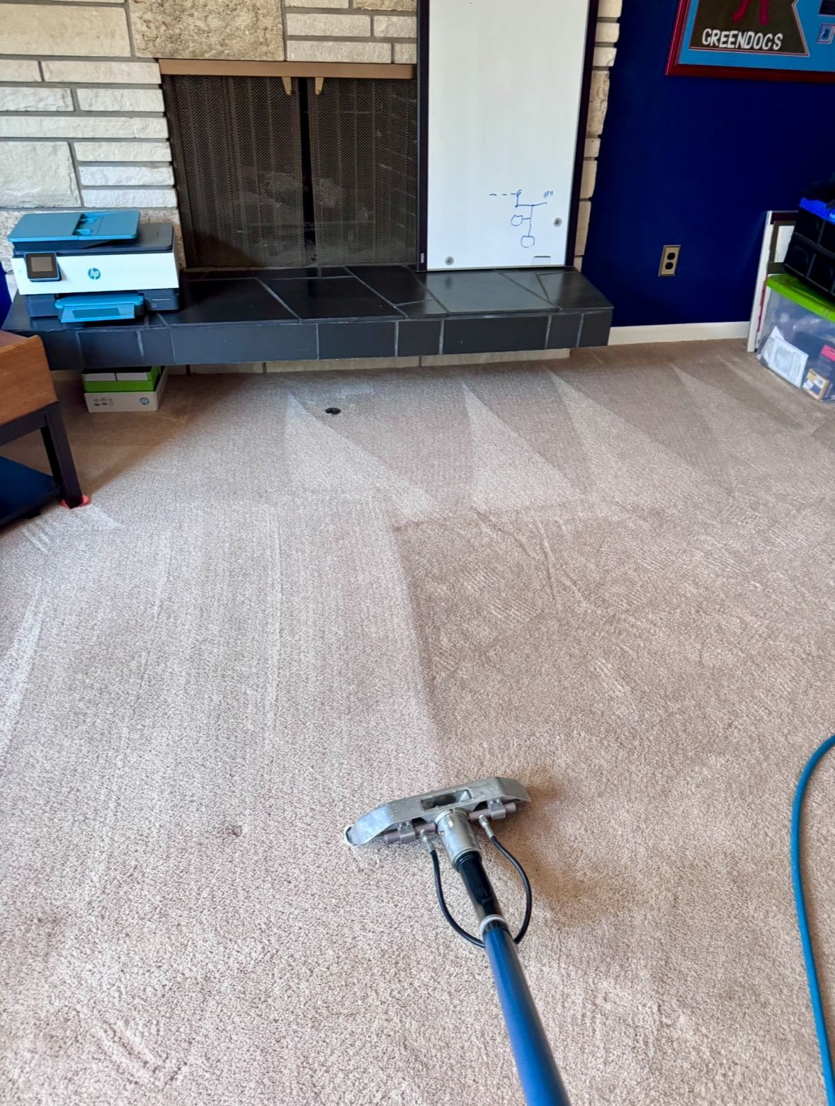 Man operates floor cleaning machines in a large room with blue flooring. One machine is green.