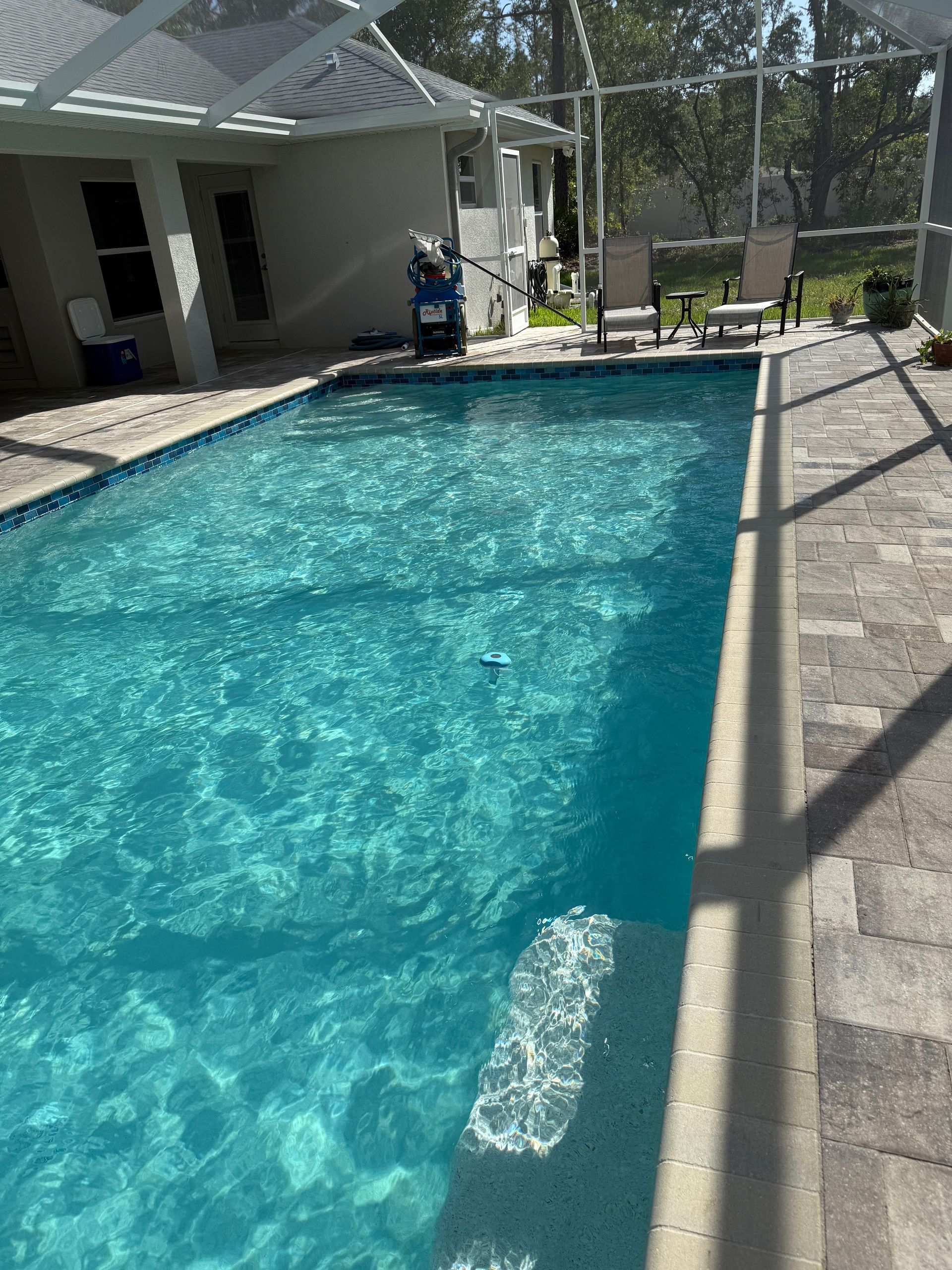 Blue swimming pool with light-colored pavers. Sunlight on water. Enclosed by screen.