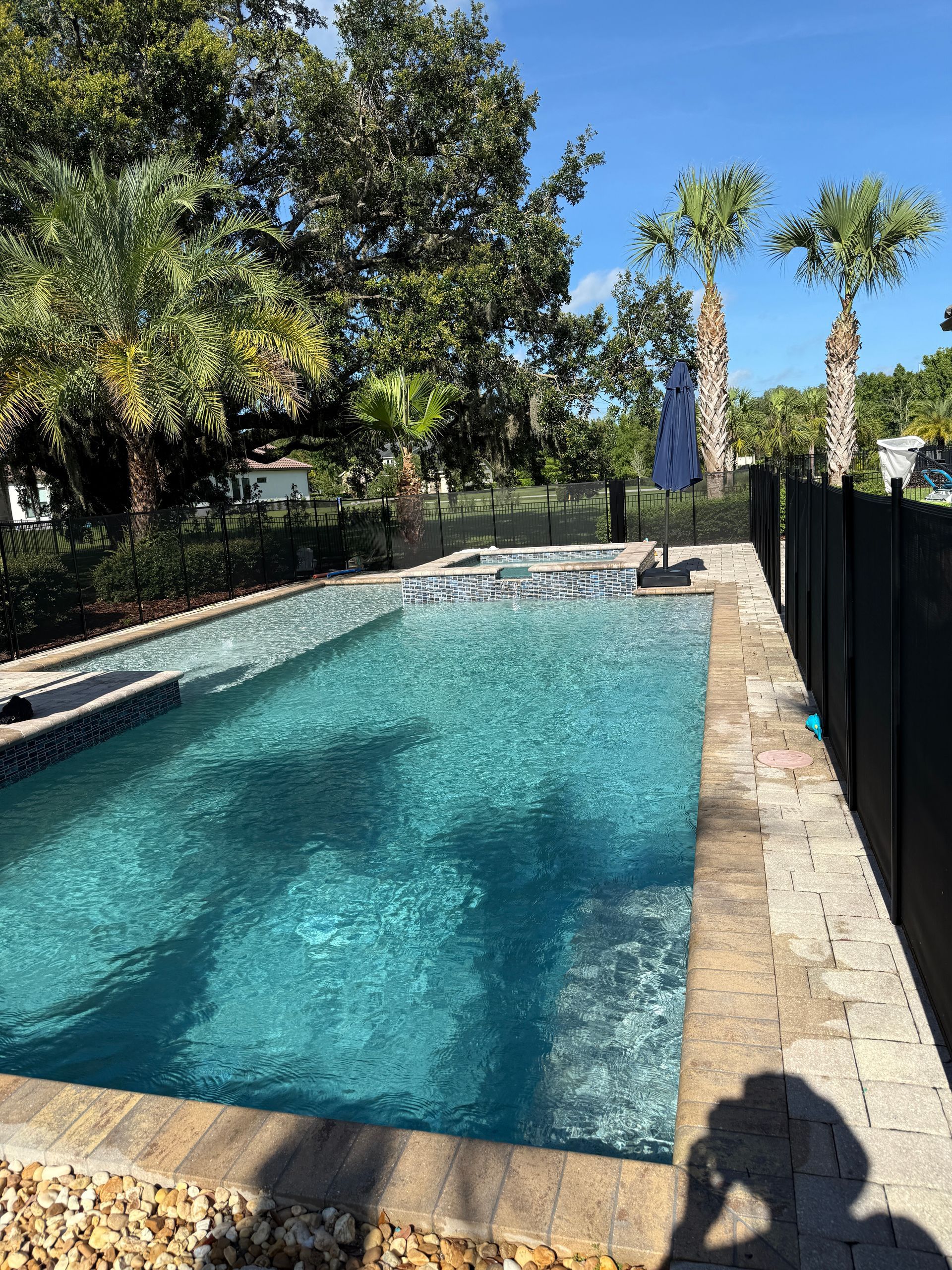 A turquoise rectangular pool with brick border, black fence, palm trees, and umbrella under a blue sky.