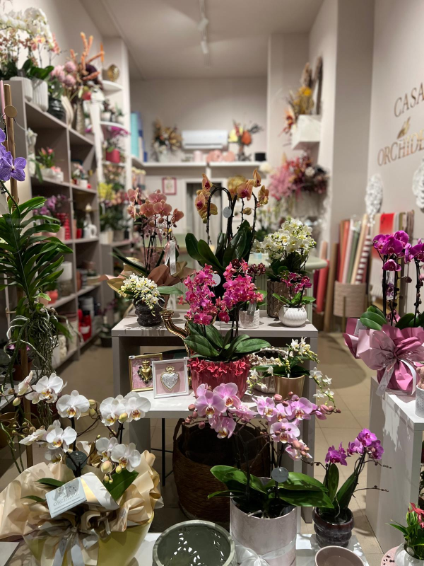 Interno di un negozio di fiori pieno di bouquet colorati, orchidee in vaso e composizioni floreali.