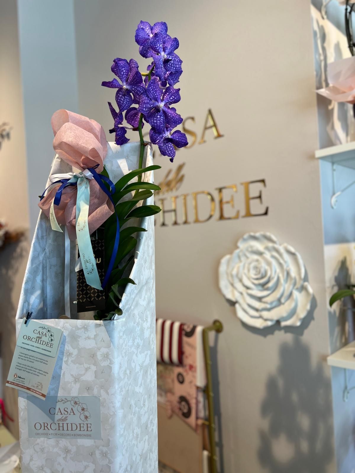Composizione floreale con orchidee viola e fiori rosa in un sacchetto regalo accanto alla vetrina di un negozio.