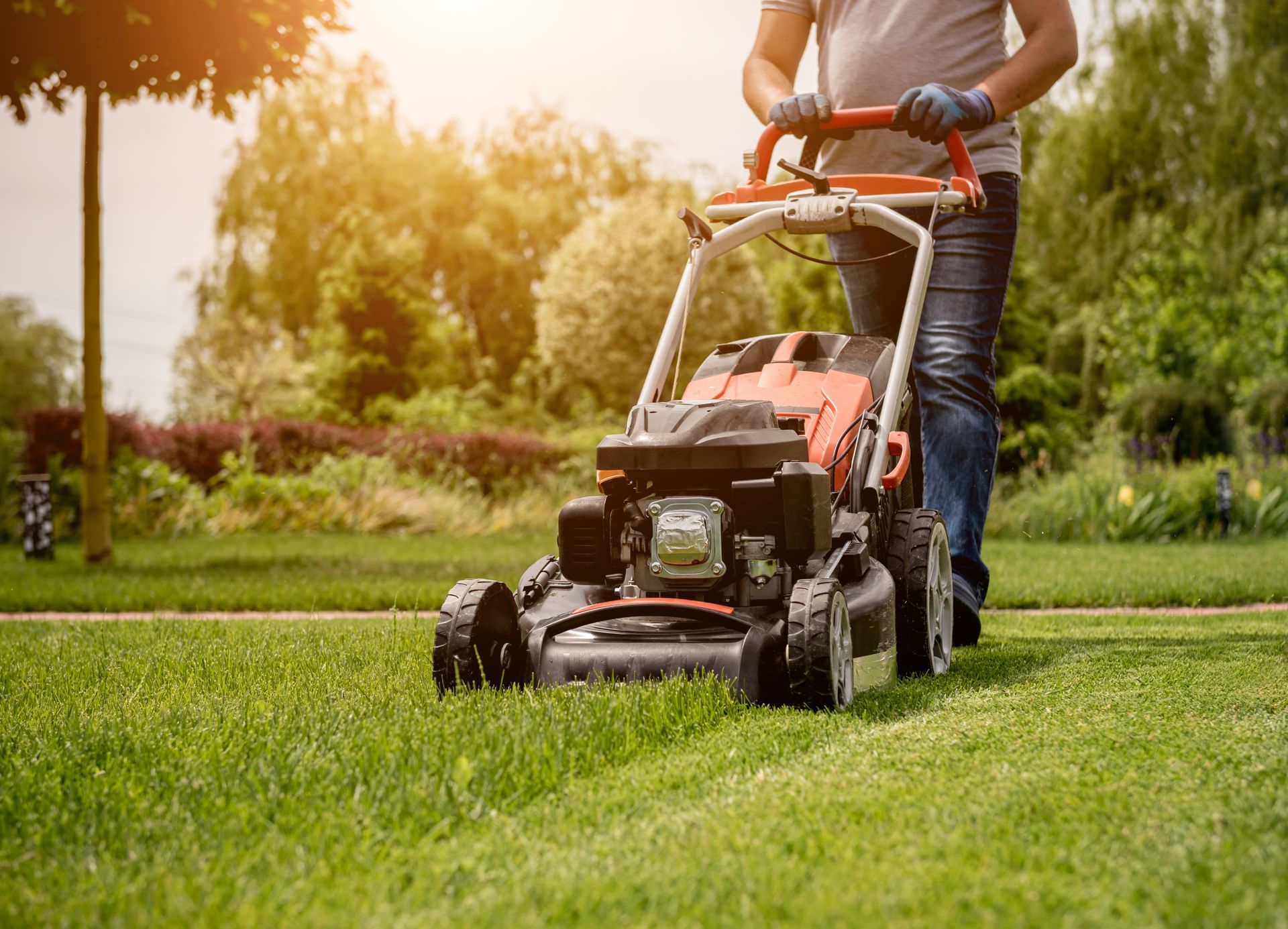 Petrol-powered walk-behind lawn mower used for cutting grass.