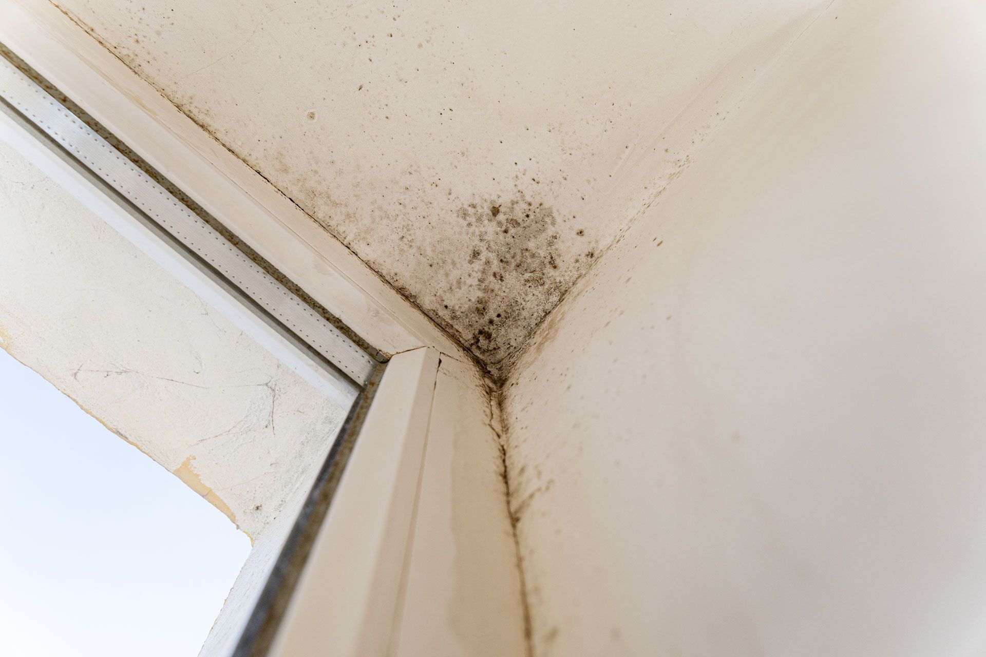 Mold and dark stains in a white corner near a window frame