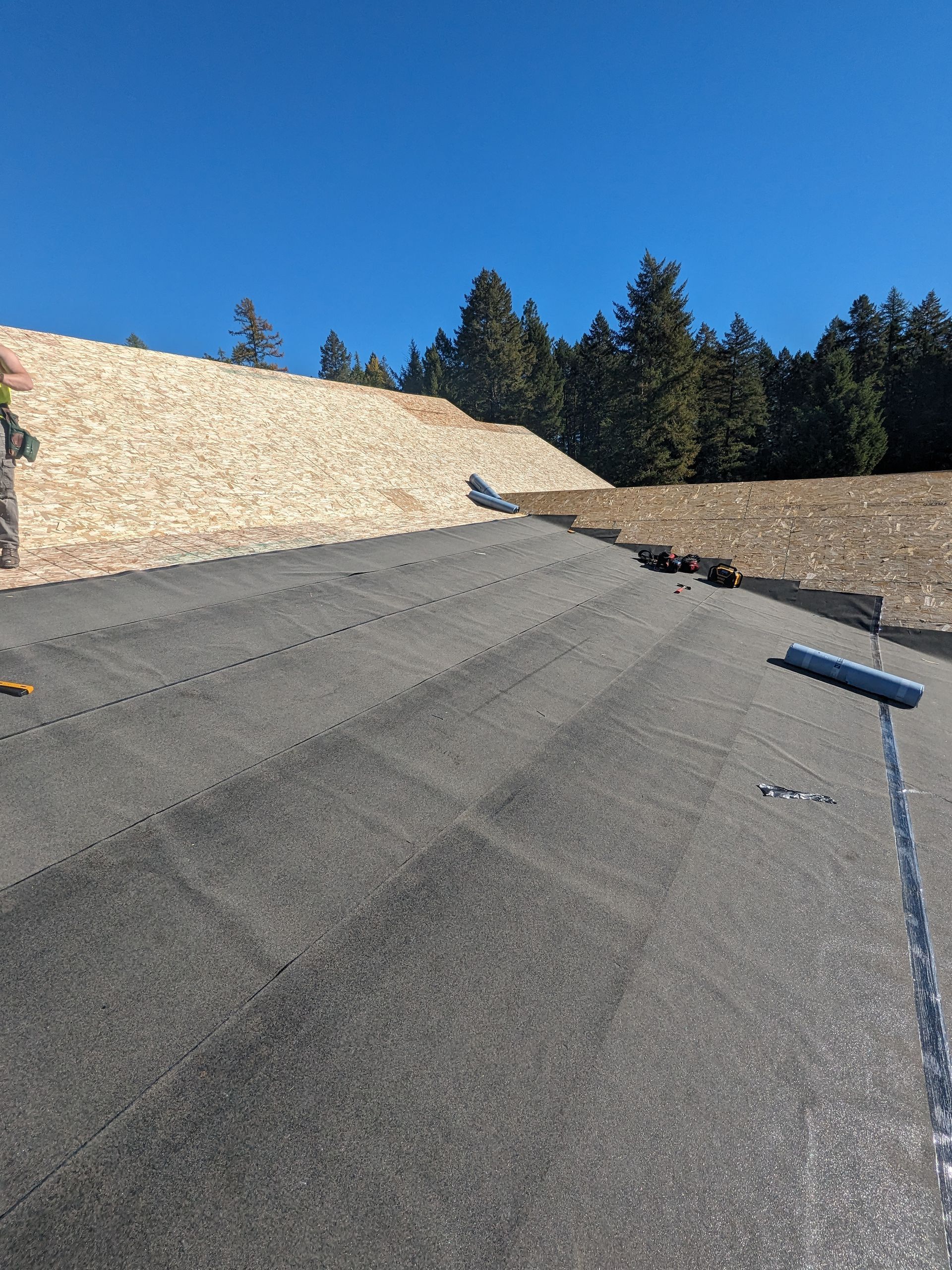 Sloped dark tiled roof with two skylights and trees in the background
