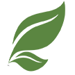 Two overlapping green leaves.