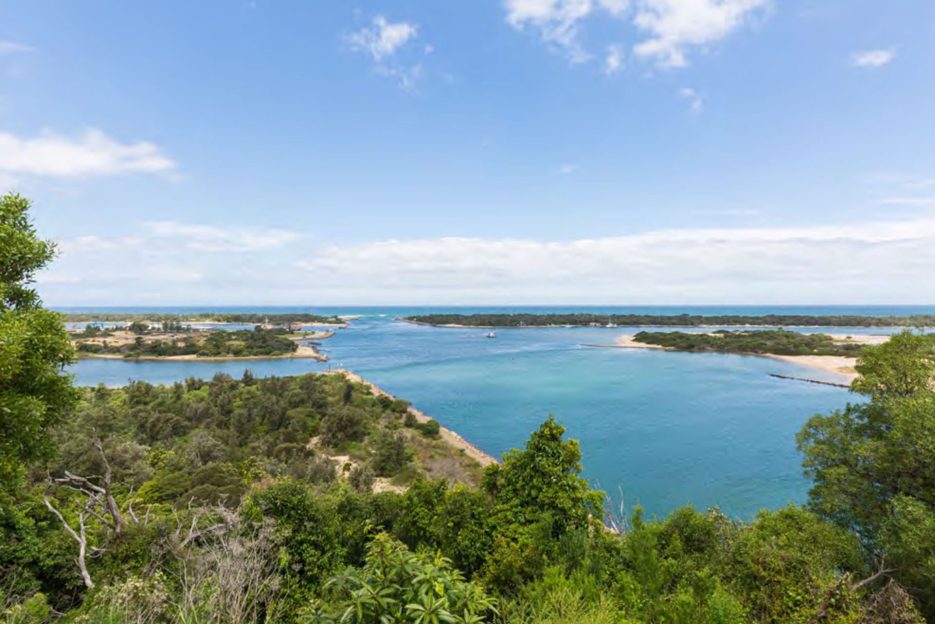 A view of a large body of water surrounded by trees on a sunny day.