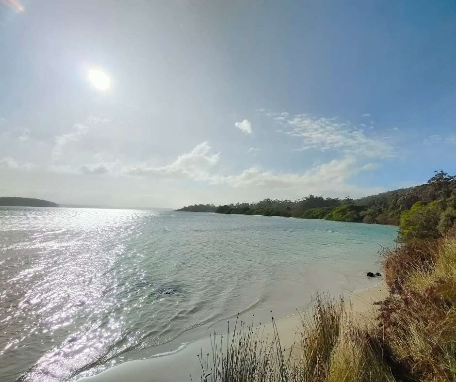 A large body of water surrounded by grass and trees