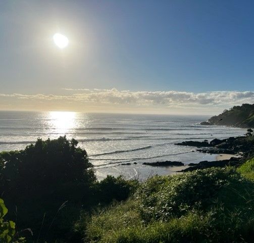 A view of the ocean from a hill with trees in the foreground.