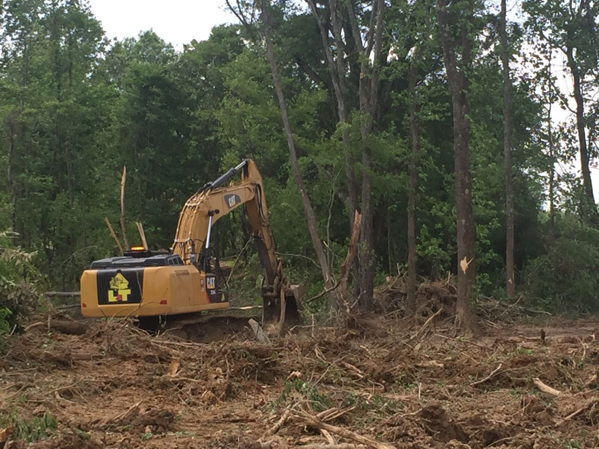A large yellow excavator is working in a forest.